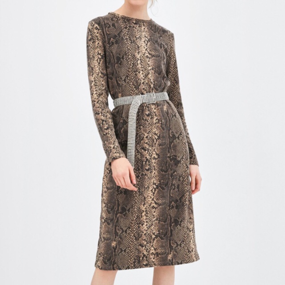 Zara Animal Print Dress